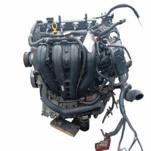 LF17