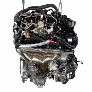 N20B20